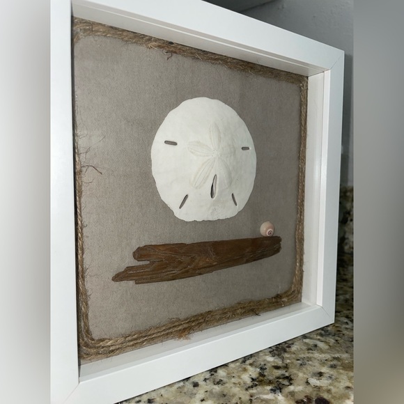 Sand Dollar, Shell, Wood.. Arranged In A ShadowBox - Picture 4 of 4